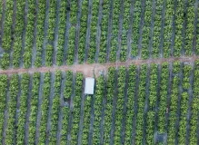 Plan an Unforgettable Farm Birthday Party Near You!