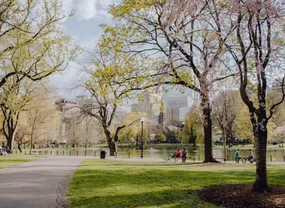 Unleash Fun with Park Birthday Party Ideas for Memorable Celebrations