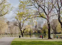 Unleash Fun with Park Birthday Party Ideas for Memorable Celebrations