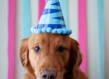 Celebrate Your Birthday at Firehouse Subs and Enjoy Delicious Subs and More