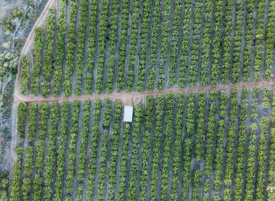 Plan an Unforgettable Farm Birthday Party Near You!